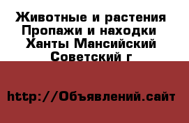 Животные и растения Пропажи и находки. Ханты-Мансийский,Советский г.